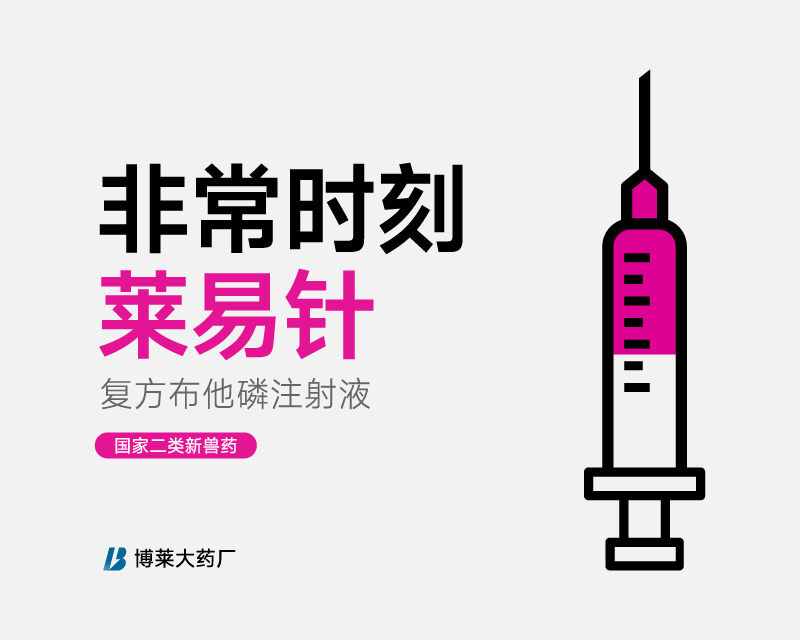 莱易针 非常时刻 | 复方布他磷注射液兽药品牌升级 | 天地经纬 | 天地经纬农业品牌案例