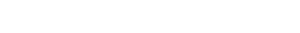 light logo